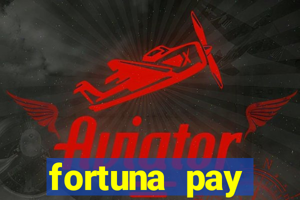 fortuna pay consultoria financeira ltda